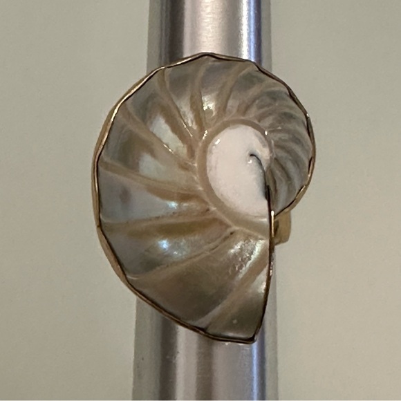 Charles Albert | Unique Shell Ring | Adjustable Size - Picture 8 of 16